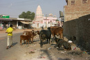 LR/inde/bikaner/content/bin/images/full/PICT0006.jpg