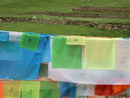 LR/tibet/land-art/content/bin/images/full/DSCN0837.jpg