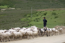 LR/tibet/route/content/bin/images/full/DSCN0691.jpg